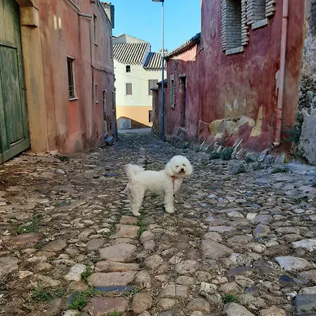 Prázdninový dům Casa Orchidea *