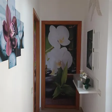 Prázdninový dům Casa Orchidea