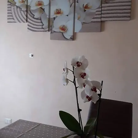 Prázdninový dům Casa Orchidea